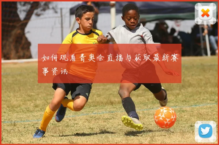 如何观看青奥会直播与获取最新赛事资讯